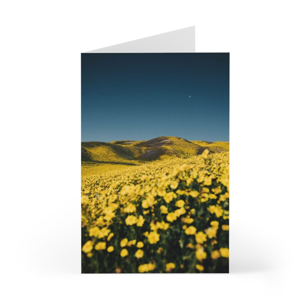 greeting cards “Ukrainian flower field”