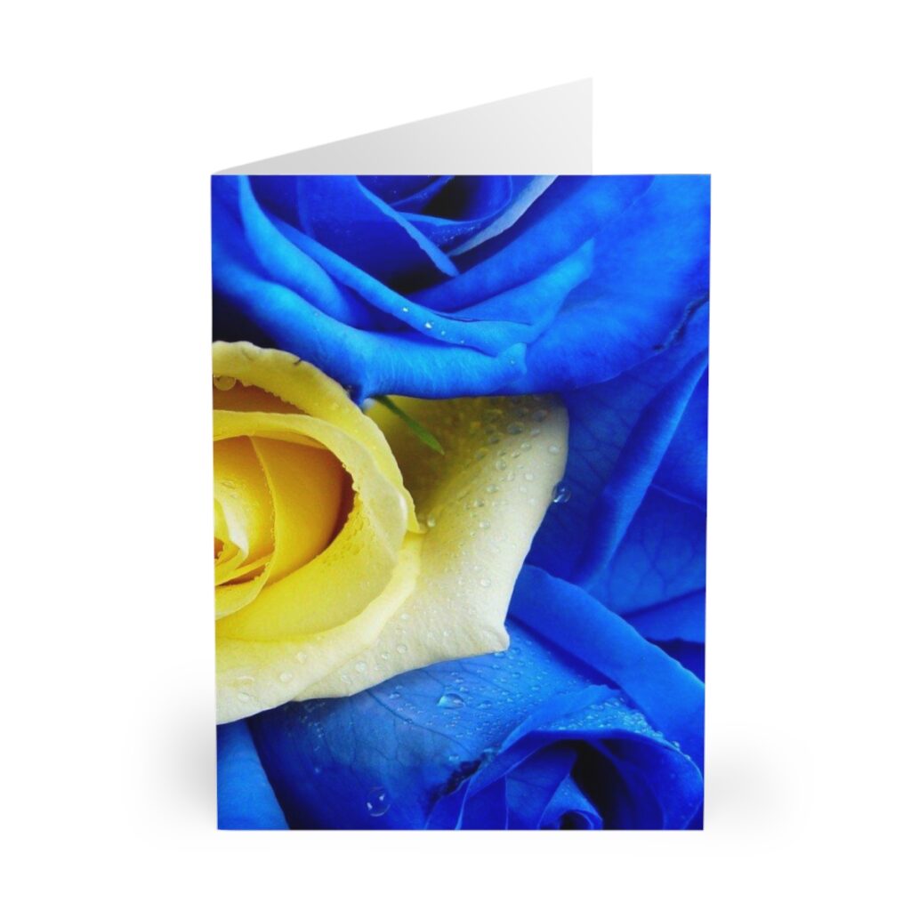 greeting cards “Blue-yellow roses”