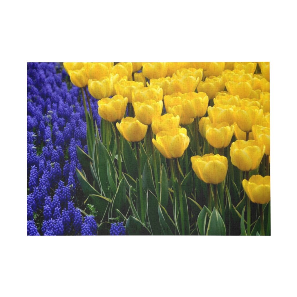 puzzle “Blue-yellow tulips”