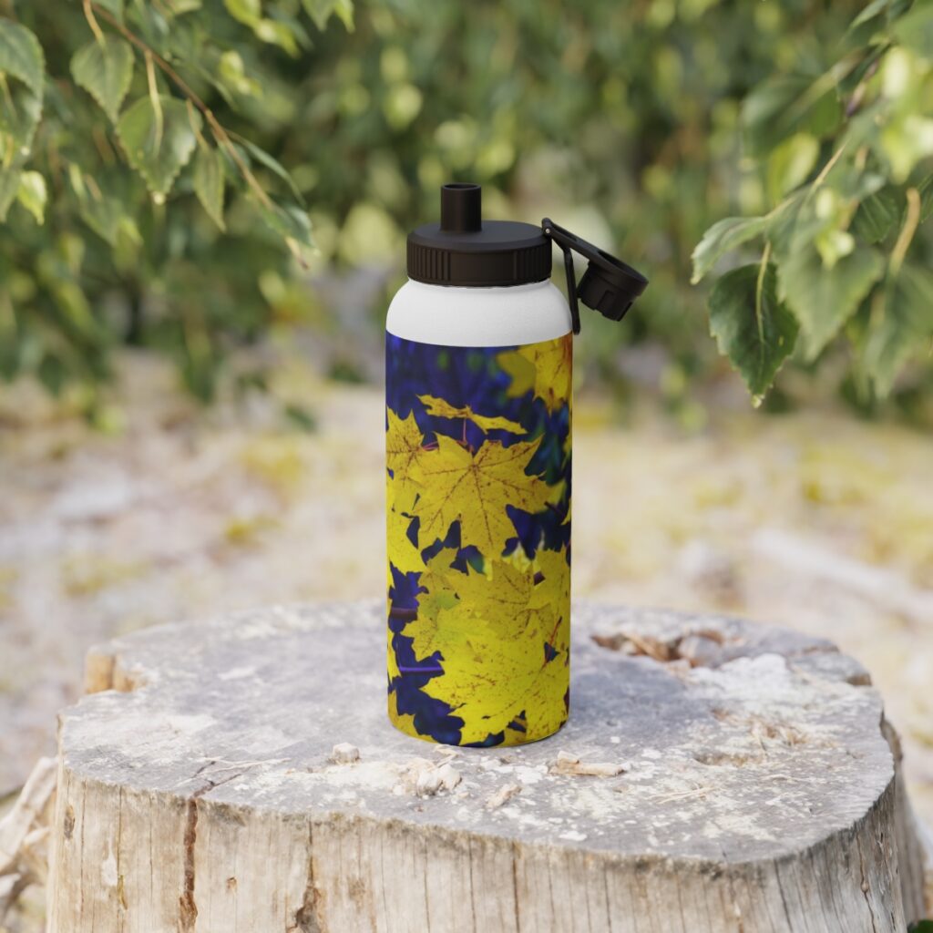 stainless steel water bottle, sports lid “Blue-yellow autumn leaves”