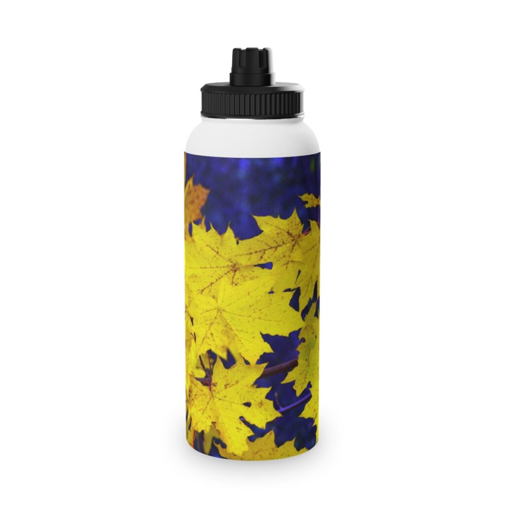 stainless steel water bottle, sports lid “Blue-yellow autumn leaves”