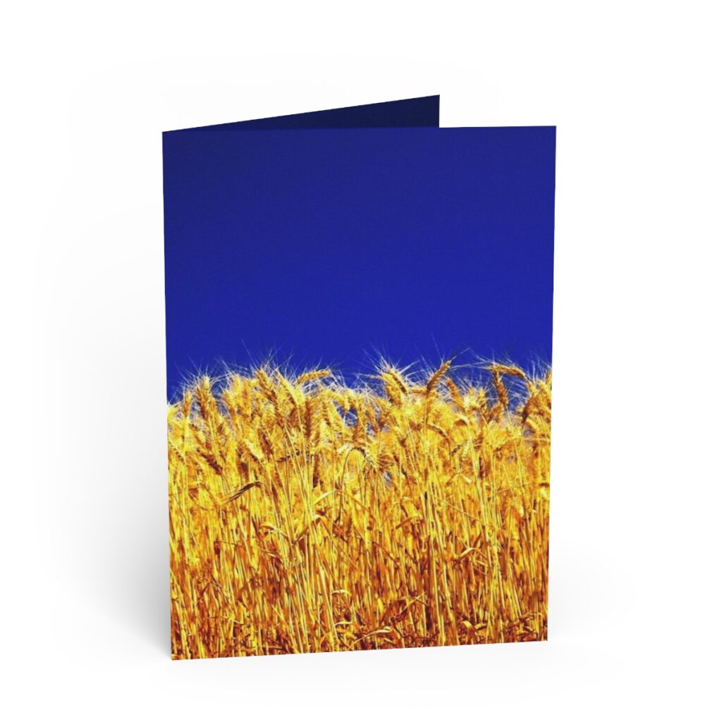 greeting cards “Ukrainian wheat”