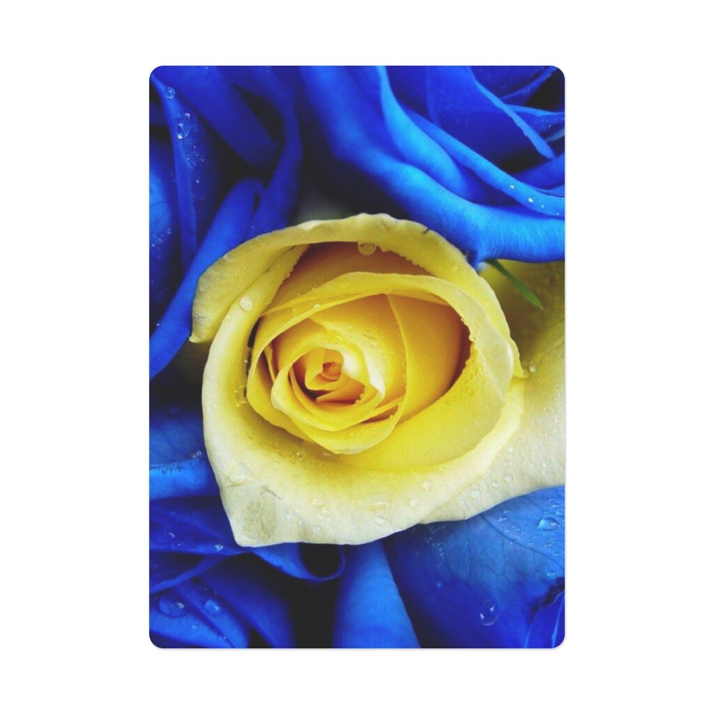 сards “blue-yellow rose”