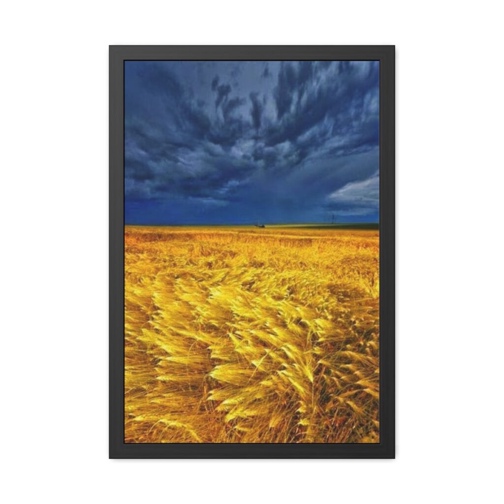 framed posters “Ukrainian field”