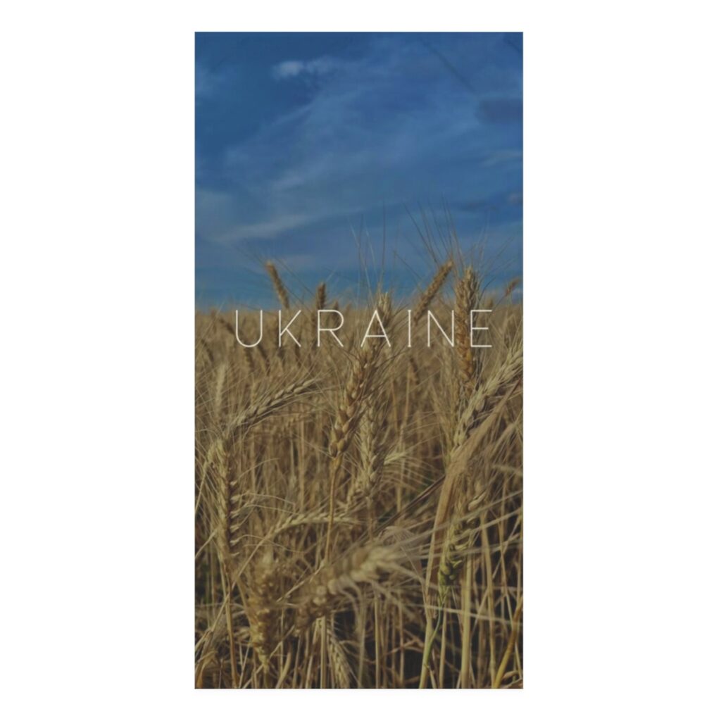 mink-cotton towel “Ukraine”