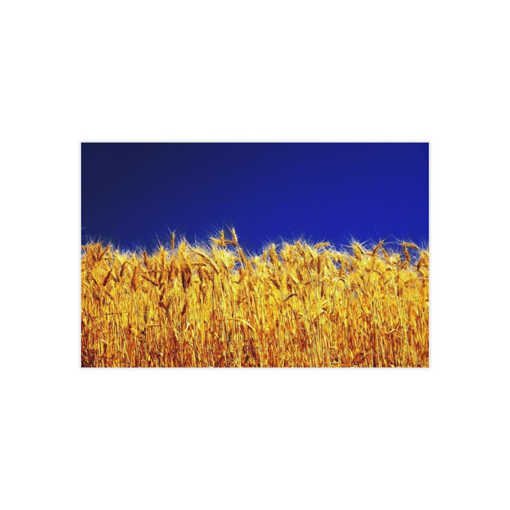 business cards “Ukrainian Wheat”