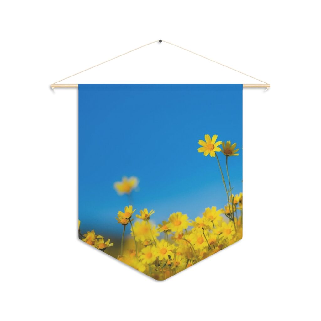 pennant “Blue-yellow daisies”