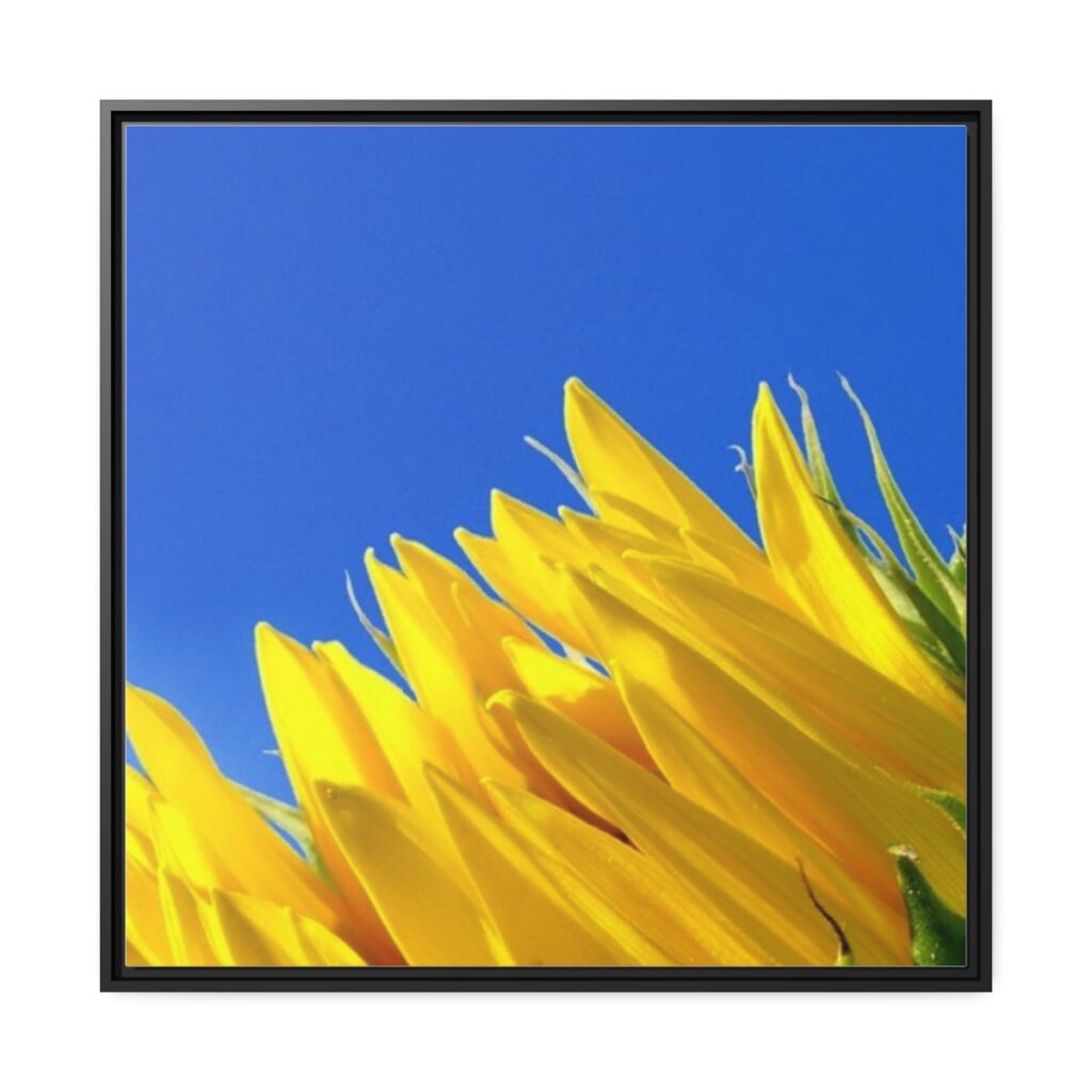 matte canvas, black frame “Blue-yellow tulips”